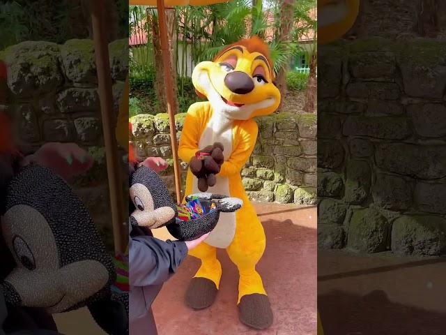When Timon REMEMBERS you!