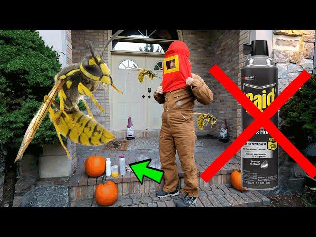  How To Get Yellow Jackets & Wasps Out of House Siding Without Getting Stung