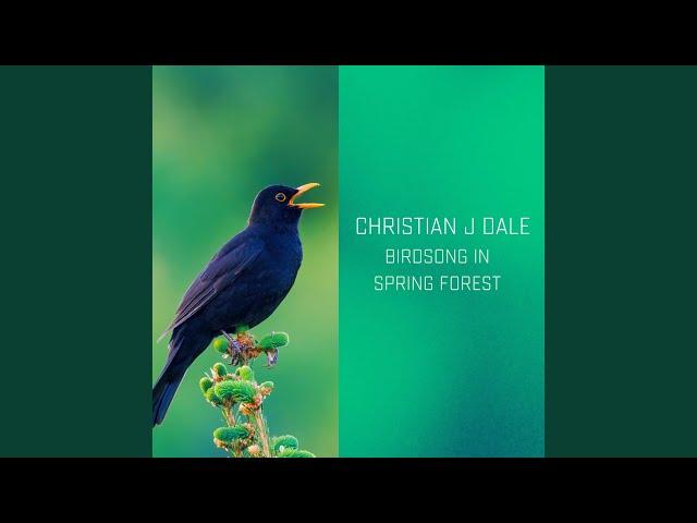 Birdsong in Spring Forest
