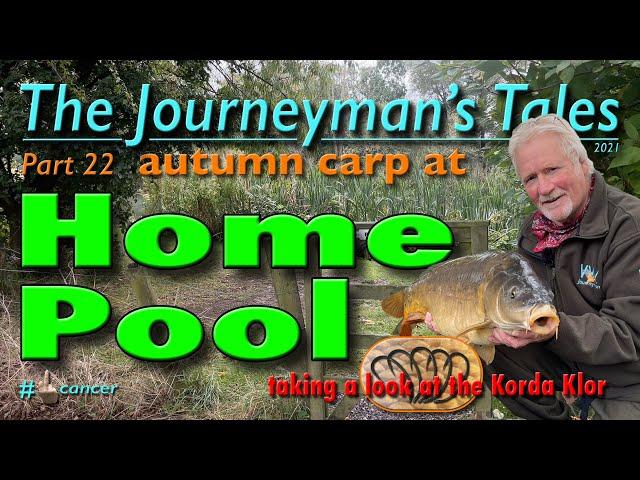 Carp Fishing At Home Pool - The Journeyman's Tales - Part 22 #carpfishing #fishingtips