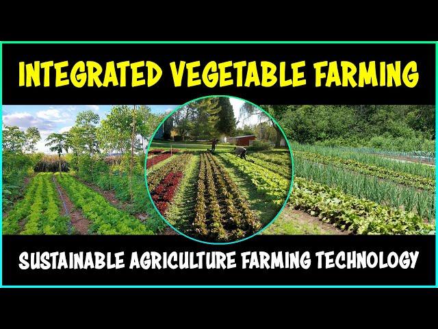 Integrated Vegetable Farming System | Horticulture