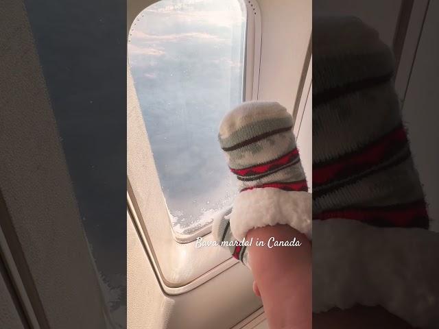 #viralvideo#newborn#flightjourney#canada#shorts#bavamardalincanada