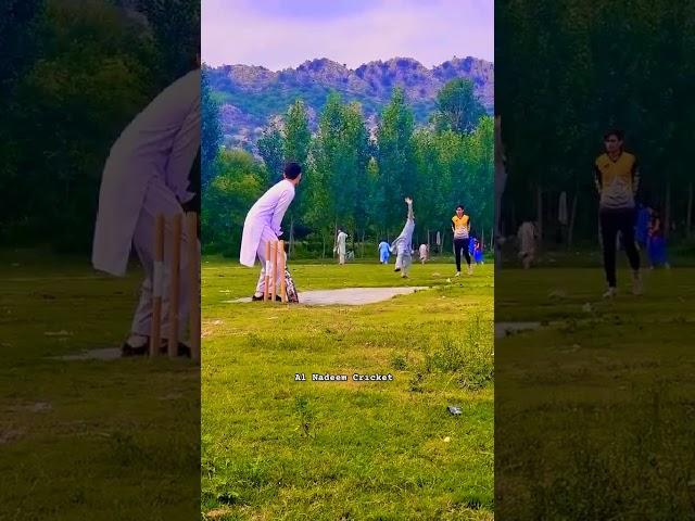 Flick Master #tapeballcricket #crickethighlights #cricket #tapeball #cricketlover #reels #shorts