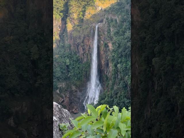 Similipal️️ Joranda Waterfall, Odisha   #shorts #shortvideo #travel #nature #waterfall #forest