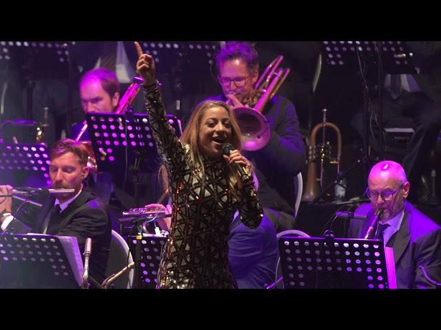 Euphoria - O'G3ne en Noordpool Orkest