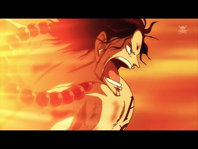 One Piece AMV - Inherited Will