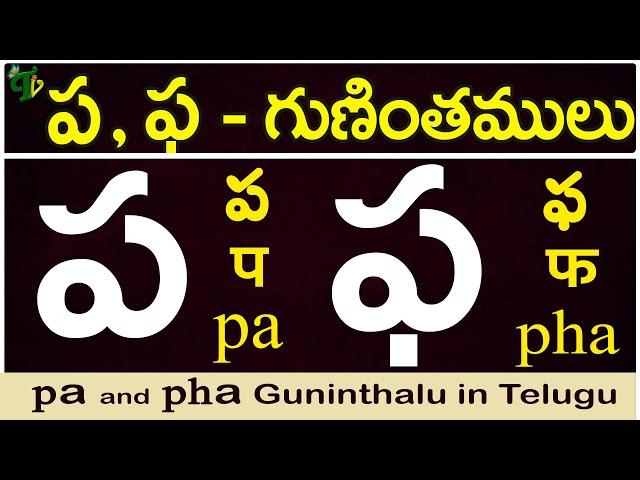 ప, ఫ గుణింతాలు | pa, pha gunintham | How to write pa, pha guninthalu |Telugu varnamala Guninthamulu