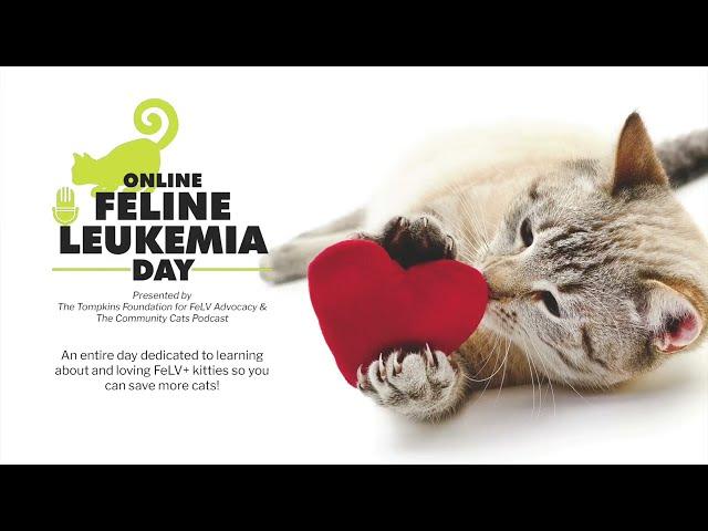 De-escalating FeLV | Dr. Heather Kennedy | 2021 Feline Leukemia Day