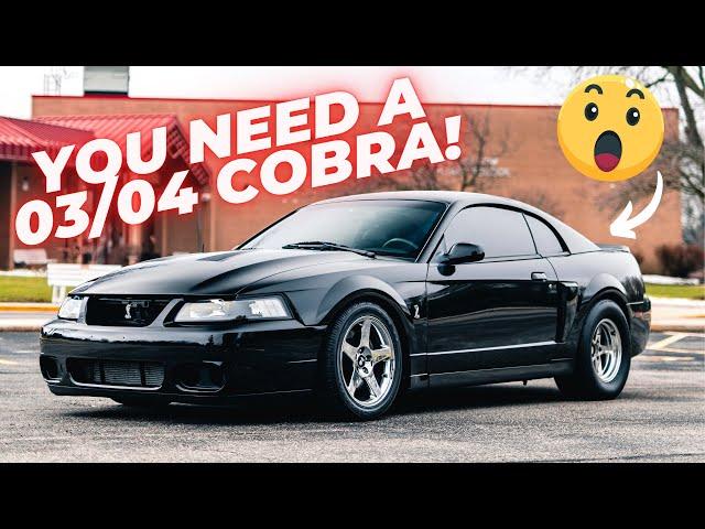 SVT Cobra Terminator - Buy One NOW!