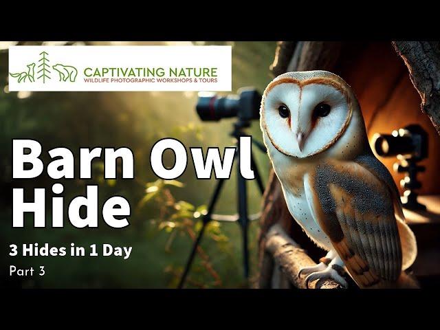 3 Hides in 1 Day, Part 3 - The Barn Owl Hide