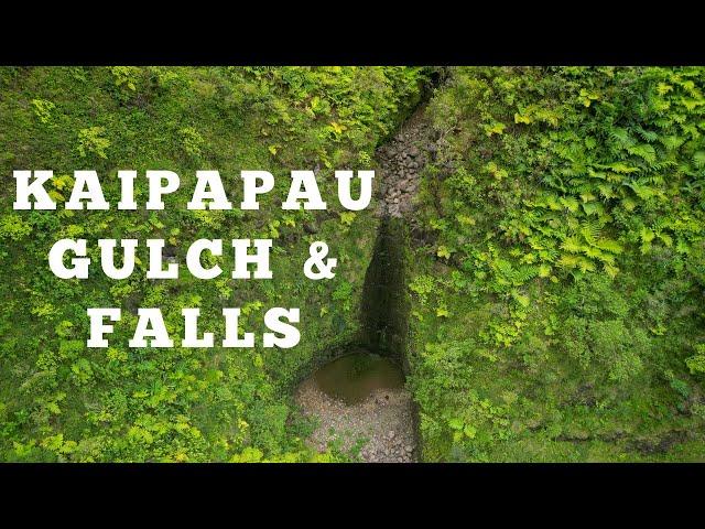 Kaipapau Gulch & Falls | Secret Waterfall Hike - Oahu, Hawaii