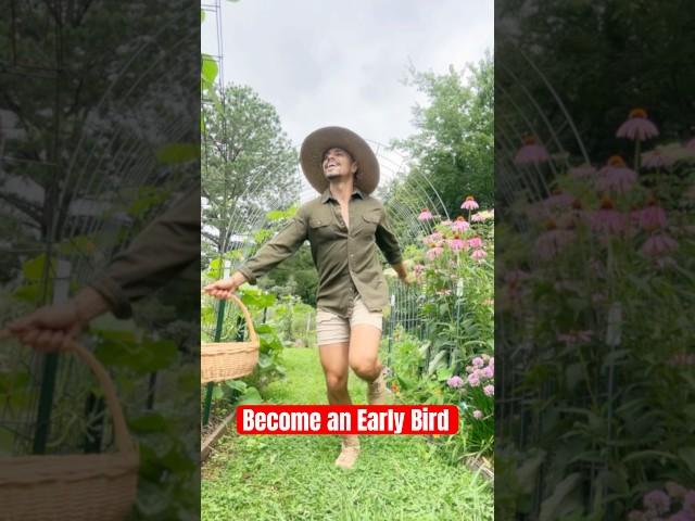 #AD Become an early bird w/ @TerryNaturallyVitamins ginseng energy tablets! #abundance #farmlife