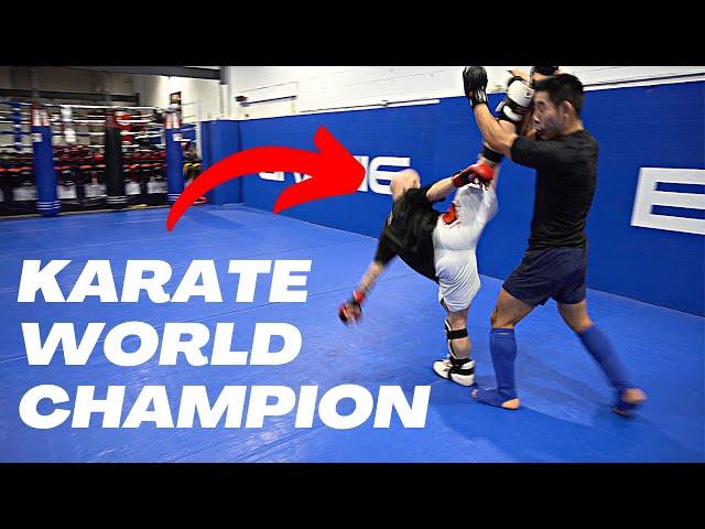 Pro MMA Fighter vs Karate World Champion (Breakdown)