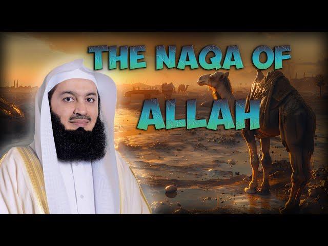 The Story Of Saleh (AS) With Thamud | Mufti Menk