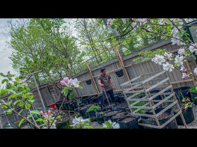 Building a 24 foot long trellis for our vertical garden