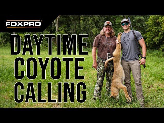 Coyote Hunt Across State Lines: Kentucky and Tennessee Action!