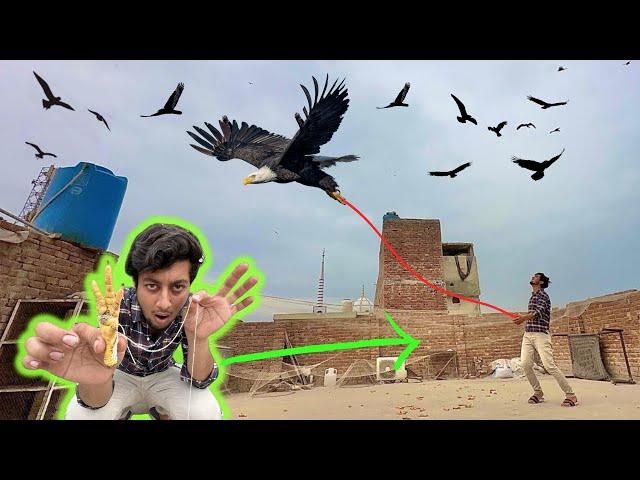 Eagle ko Patang Bana Diya 🪁 || Eagle Trap Video