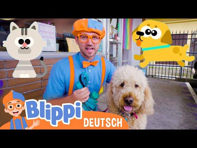 Blippi besucht das Tierheim | Blippi Deutsch | Abenteuer und Videos für Kinder