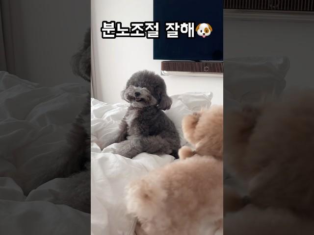 가족이라서 참는다...