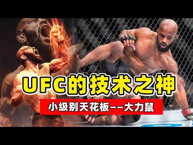 UFC的技术之神，小级别无人能敌，大力鼠究竟有多强？【综合格斗】大力鼠约翰逊｜Demetrious Johnson