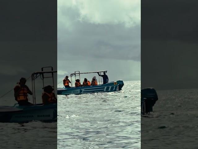 Chasing Giants: Whale Watching at Trinco Blu by Cinnamon