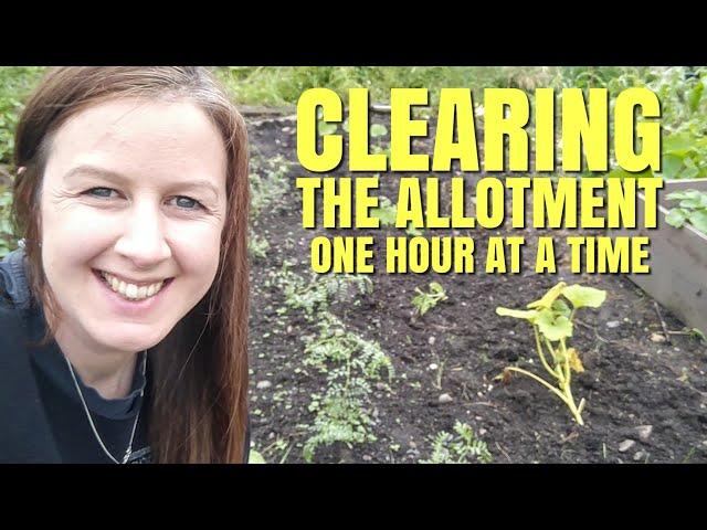 Clearing My Weedy Allotment One Hour At A Time | How To Tidy A Garden Quickly