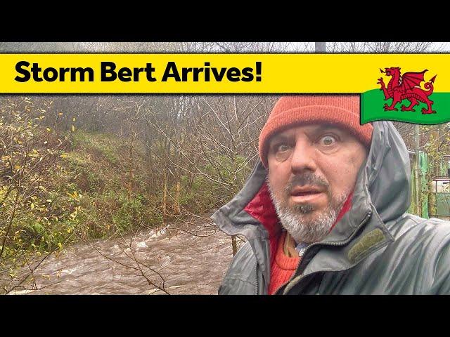 157. Storm Bert hits the Homestead - Living Alone in Wales (November 2024)