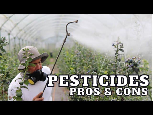 Pros and Cons: Pesticides in Farming