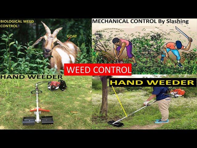 WEED CONTROL MEASURES