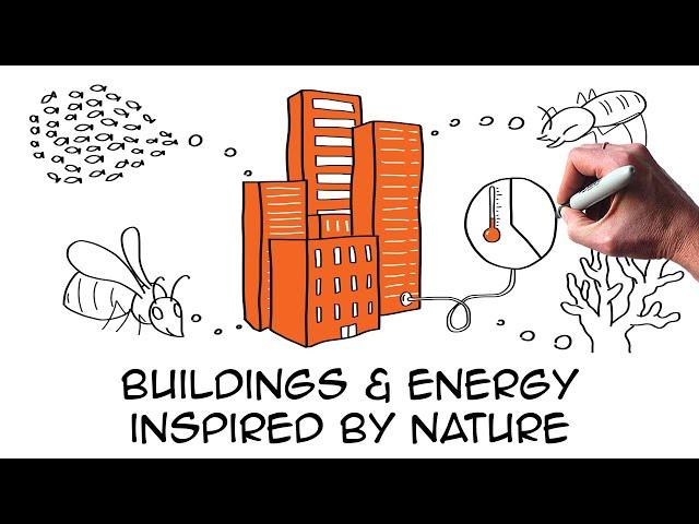 5 amazing biomimicry examples providing real sustainability solutions | Architecture Building Energy