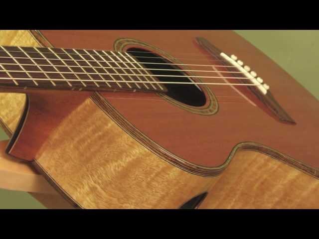 Guitar Gallery presents Stehr Auditorium Guitar