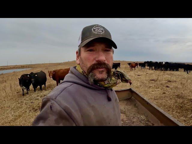 Day In The Life Of A South Dakota RANCHER!!