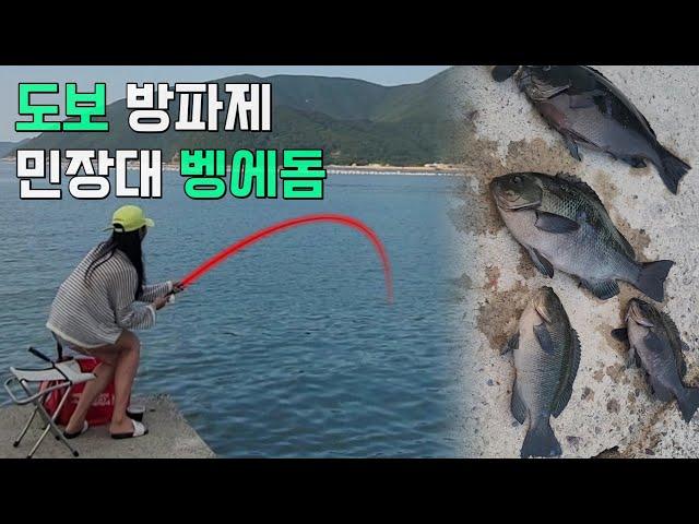 [낚시] 벵에돔이 사는 방파제 ! 차박 캠핑도 쌉가능한 곳/fishing