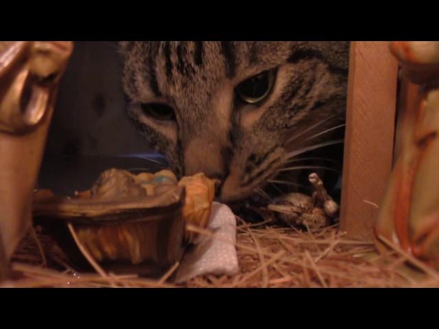 Smokey changes the course of history