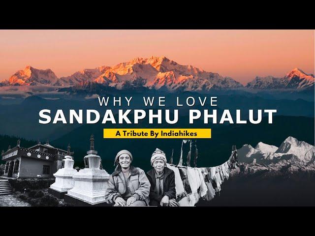 Why We Love Sandakphu Phalut | Sleeping Buddha | Everest | A Tribute By Indiahikes