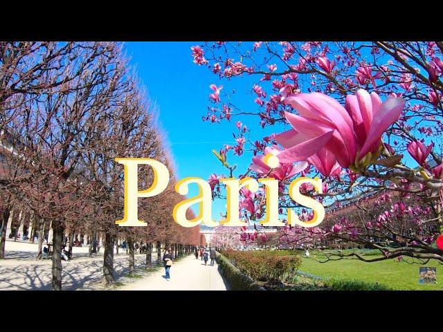 Today's walk [ Jardin du Palais Royal ]  the weather is very nice today     Paris  travel