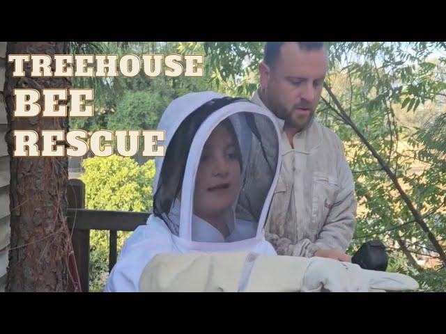 Tree House Honey Bee Rescue