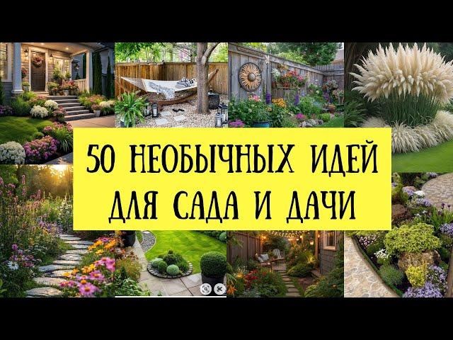  50 вдохновляющих идей для дачи и сада