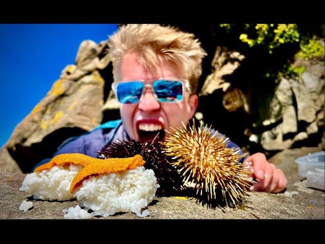 Hunting and Eating Tasmanian Wild Sea Urchin!