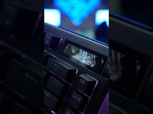 The Razer BlackWidow V4 Pro 75% gaming keyboard is available now! #razer #gaming #gamingkeyboard