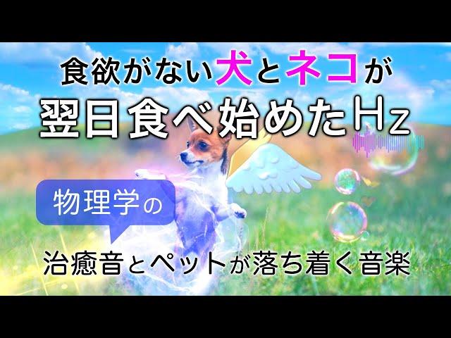 食欲がない犬と猫が元気になる治療音と全ソルフェジオ周波数音楽┃α波・θ波・デルタ波┃