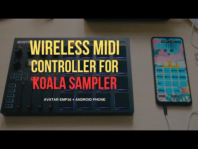 The Best Koala Sampler MIDI WIRELESS Controller | Avatar EMP16