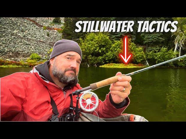 MASTER Trout Fishing in Lakes with These Proven Tips!