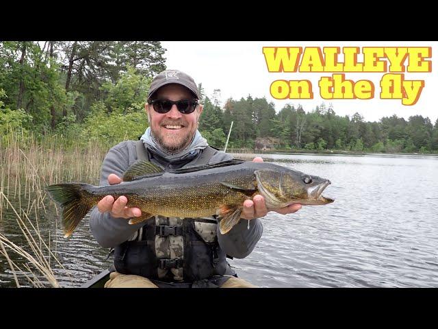 Fly Fishing for Walleye! (bass and pike too!)