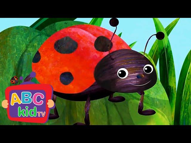 Finger Family with Lady Bug | Preschool Learning - ABC KidTV | Nursery Rhymes & Kids Songs