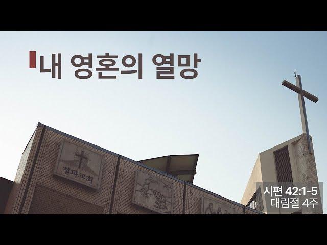 대림절 제4주 예배 (2024년 12월 22일)