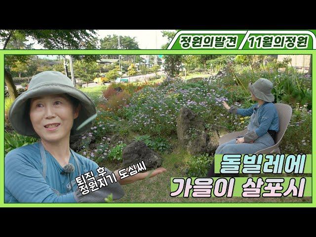 돌빌레에 가을이 살포시 Pine Garden of Autumn | 정원의 발견 Wonders of Garden | KBS제주 20211105 방송