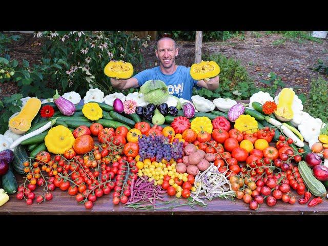 Amazing Garden Harvest on Only 1/9th an Acre, Backyard Sustainable Gardening