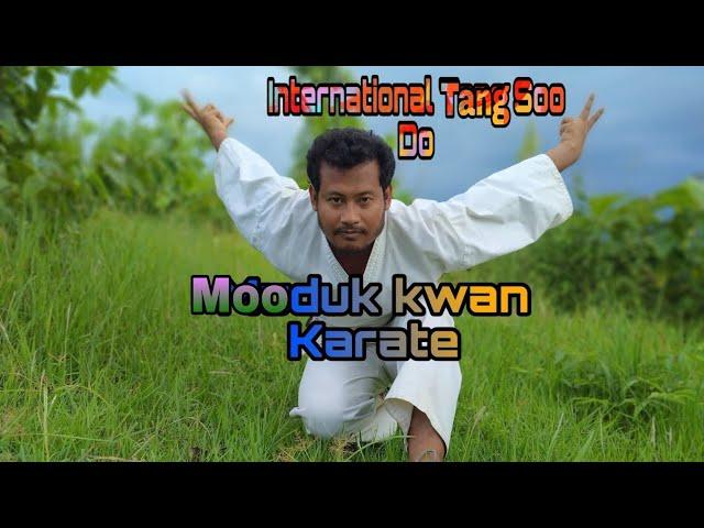 Tang Soo do Moo duk kwan Karate
