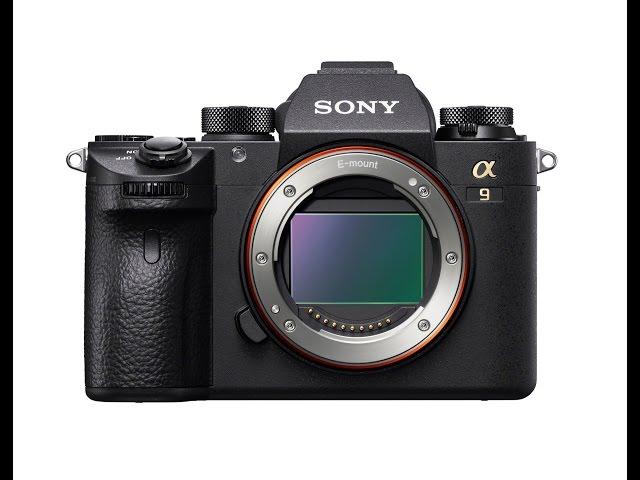 Sony A9 Official Preview: Dual SD Cards, "Extended Battery", Blackout-Free Shooting & More!